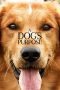 A Dog’s Purpose